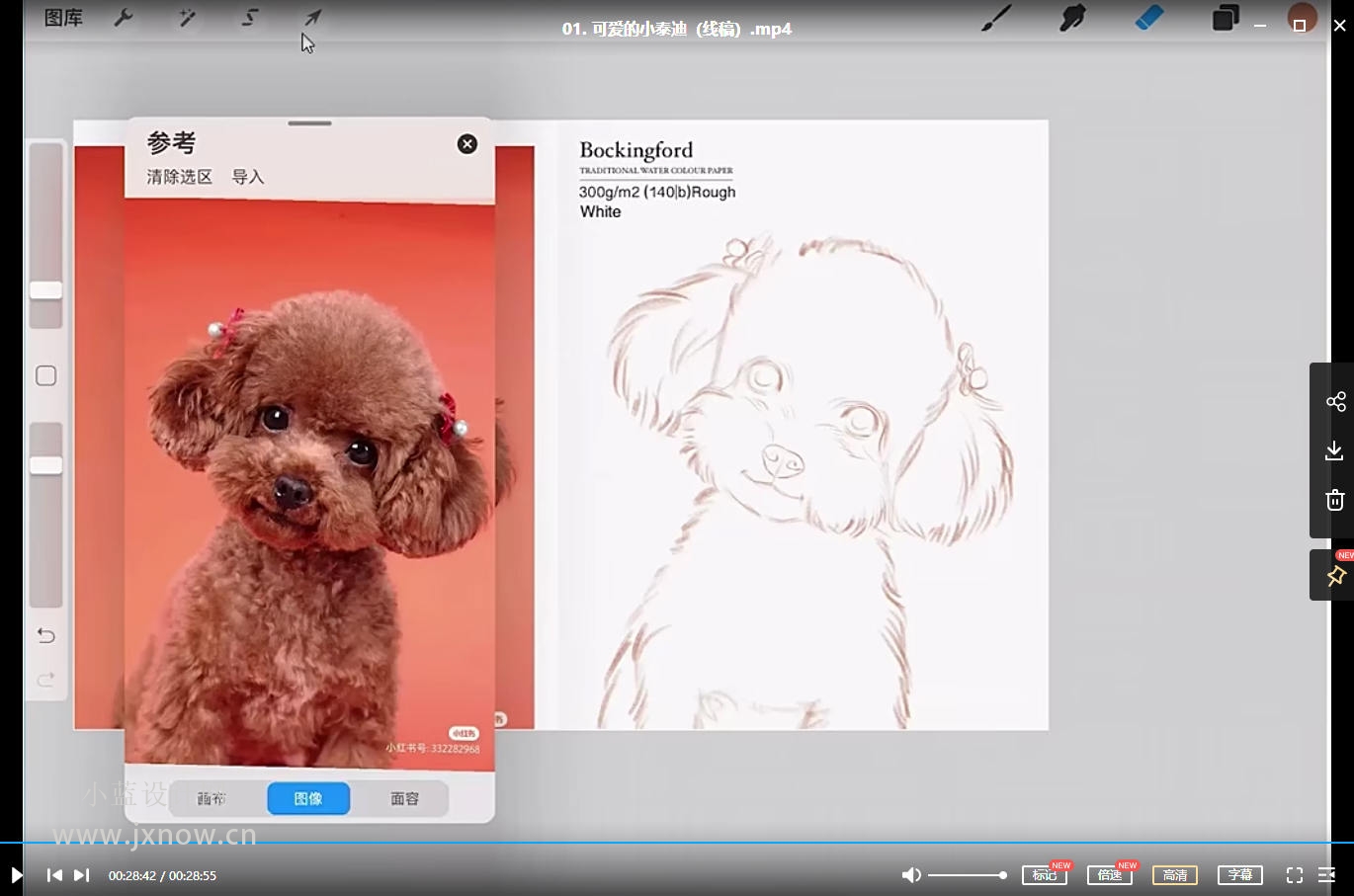 2021年阿花宠物团练ipad插画课程有笔刷素材百度云网盘下载